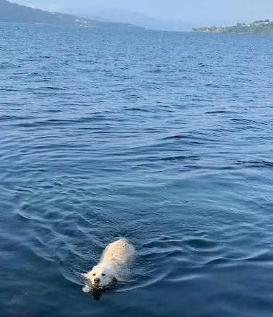 Moderne Med Fjordutsikt Og Spabad 25.min. Fra Sentrum * Bergen